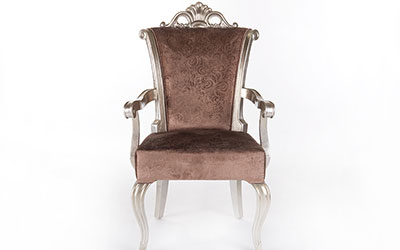 Silver Gilded Dinning Chair